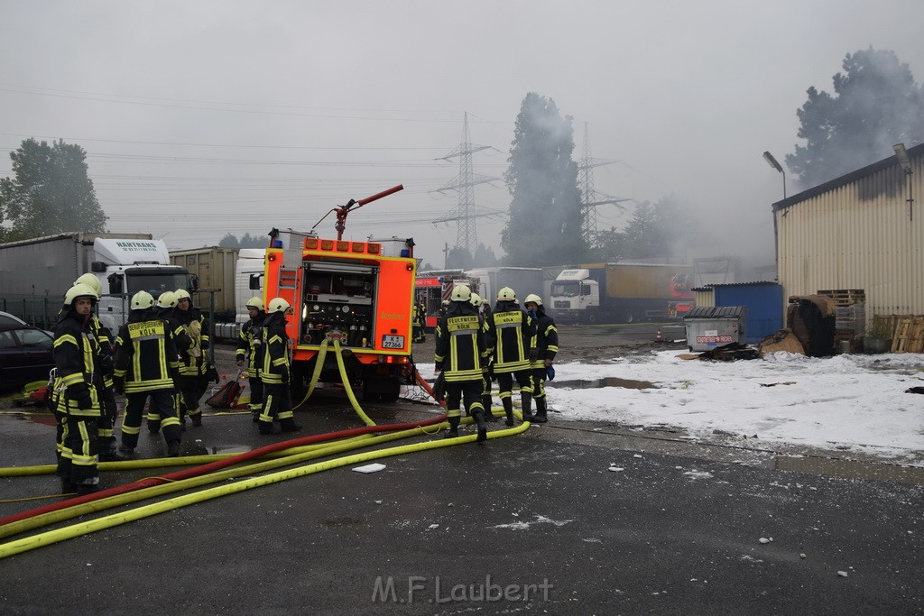 Feuer 3 Rheinkassel Feldkasseler Weg P1683.JPG - Miklos Laubert